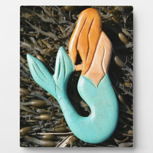 plaque de sirène (Devant)