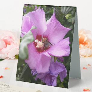 Plaque De Table Bumblebebe sur la fleur d'Hibiscus