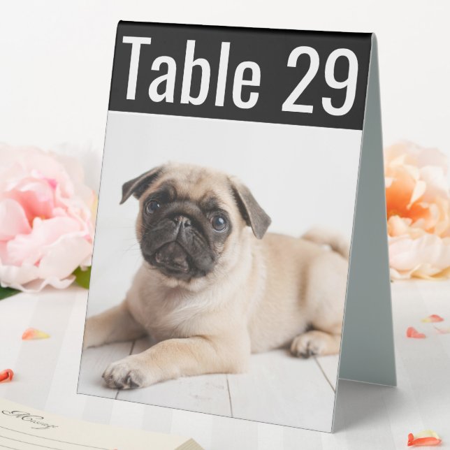 Plaque De Table Mariage photo pour animaux de compagnie moderne Nu (In SItu (Mariage))