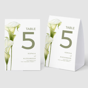 Plaque De Table Tent de table en papier pour mariage "Delicates ca
