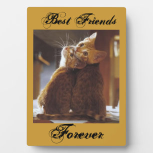 Plaque des meilleurs amis