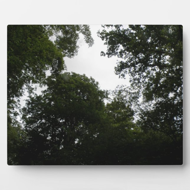 Plaque forestière déplaisante (Devant)