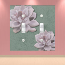 Serene Sage Vert Echeveria Moderne Dessin À La Mai