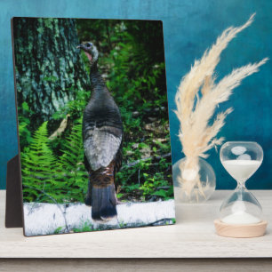 Plaque Mère Turquie