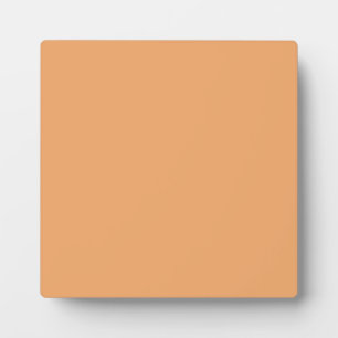 Plaque mit pastellfarbenem orangefarbenem Hintergr Fotoplatte