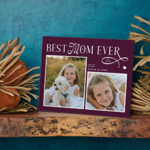 PLAQUE PHOTO 