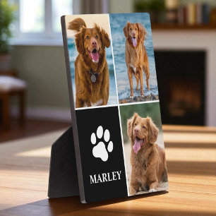 Plaque Photo 3 Collage Photo Amoureux de Chien Patte Photo