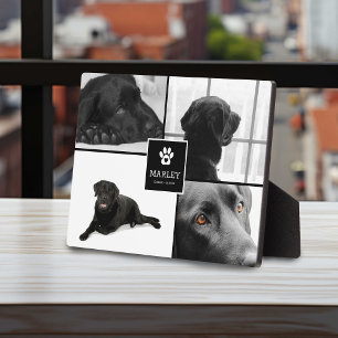 Plaque Photo 4 Photo Pet Memorial   Garde du souvenir