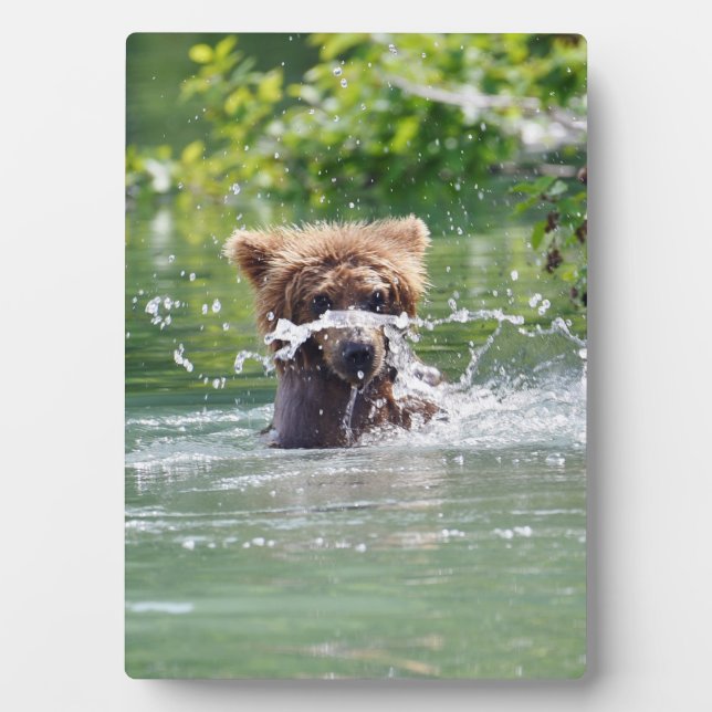 Plaque Photo 5x7 avec l'Eau de grizzli (Devant)