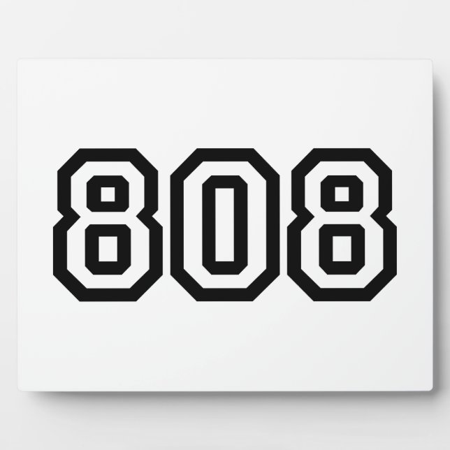 PLAQUE PHOTO 808 (Devant)