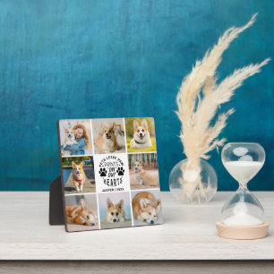 Plaque Photo 8 Photo Collage Pet Memorial Remembrance 