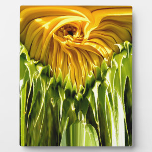 Plaque Photo Abstrait tournesol rétro funky, géométrie effrayée