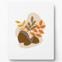 Acorns Automne automne