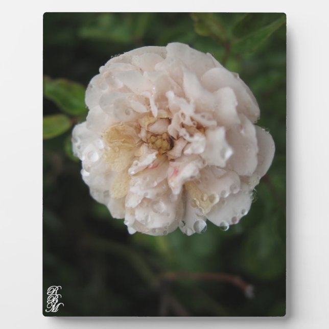 Plaque Photo Acrylic Wall Art (Devant)