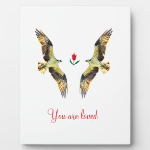 Plaque Photo Aimer les oiseaux. Ospreys