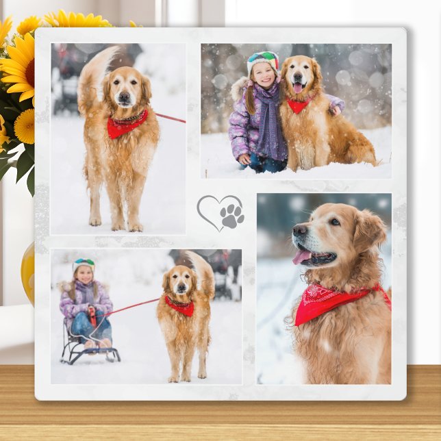 Plaque Photo Amoureux des chiens Personnalisé Moderne Animaux d (Créateur téléchargé)