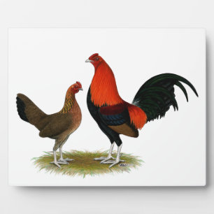 Plaque Photo Ancien jeu anglais Bantams : BB Red Pair