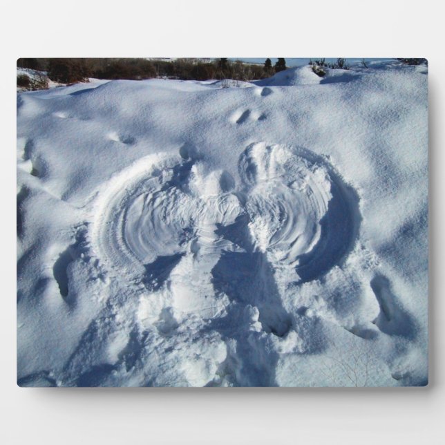 Plaque Photo Ange des neiges (Devant)