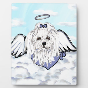 Plaque Photo Angel maltais