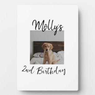 Plaque Photo Animateur chien chat animal photo moderne simple