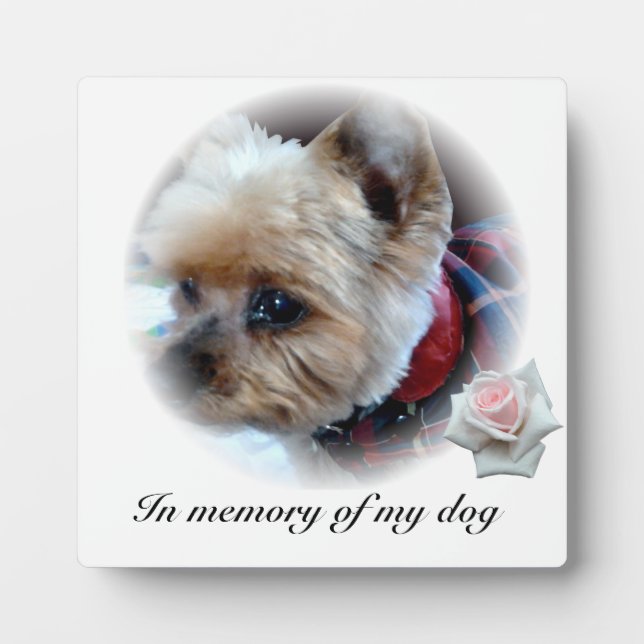 Plaque Photo Animaux (Devant)