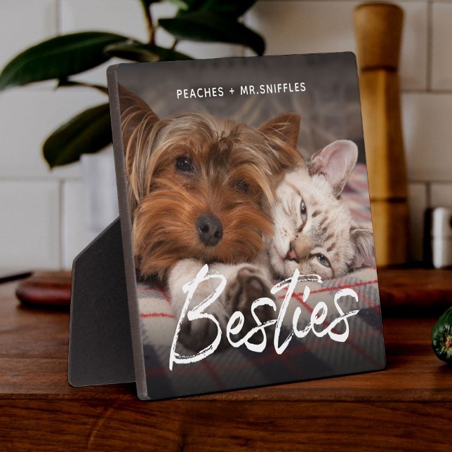 Plaque Photo Animaux Amis Chien Papa Chat Maman Cadeau BFF Beso (Créateur téléchargé)