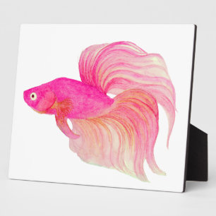 Plaque Photo Aquarelle rose Betta Fish