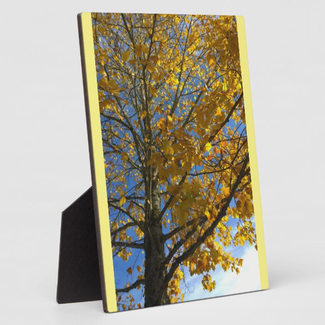 Plaque Photo Arbre d'automne jaune (Côté)