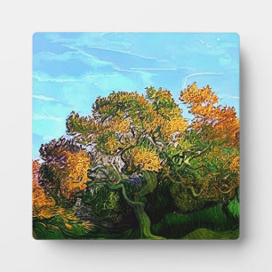 PLAQUE PHOTO ARBRES D'AUTOMNE
