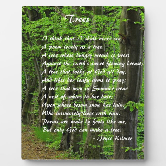 Plaque Photo Arbres par : Joyce Klimer (Devant)
