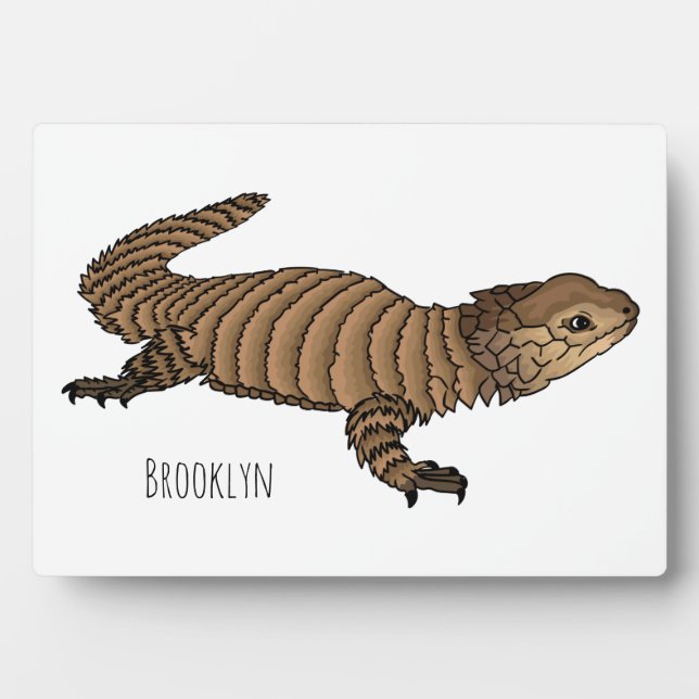 Plaque Photo Armadillo girdled lizard (Devant)