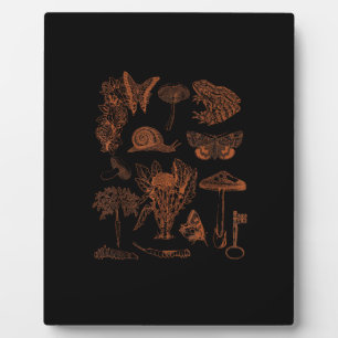 Plaque Photo Art botanique, champignons de grenouille, esthétiq