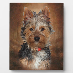 Plaque Photo Australian Silky Terrier With Easel