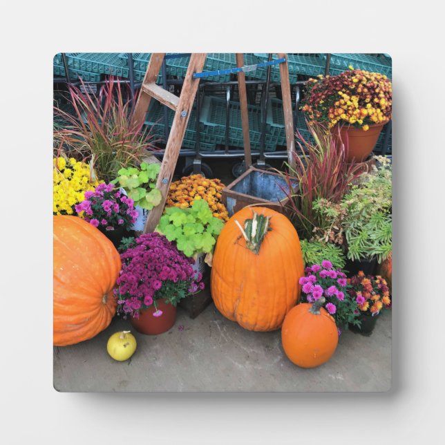 Plaque Photo Autumn Decor (Devant)