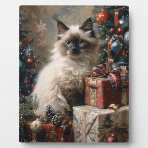 Plaque Photo Balinais Kitten Noël Portrait de chat