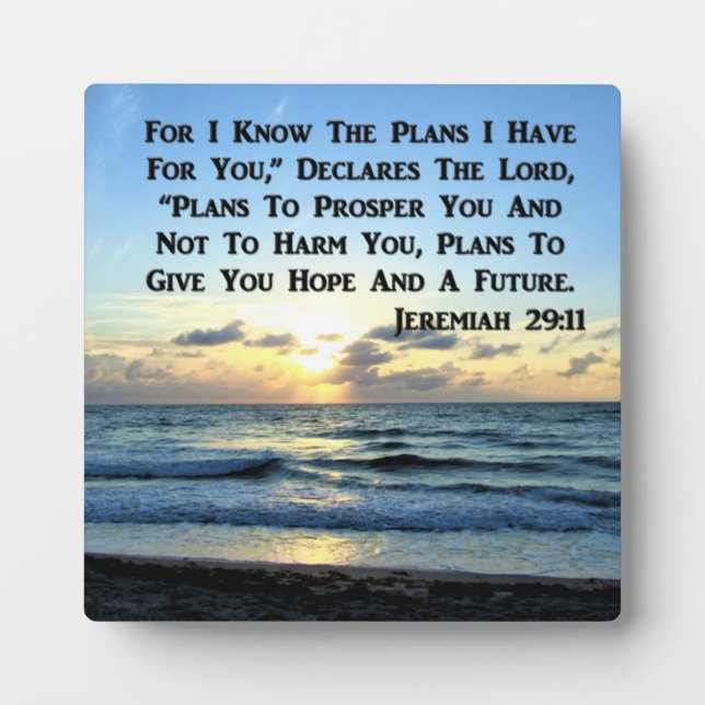 PLAQUE PHOTO BEAU JEREMIAH 29:11 SKIES BLEUS (Devant)