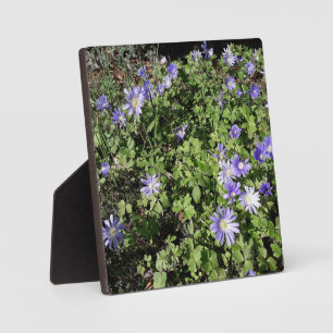 Plaque Photo Beaucoup de fleurs