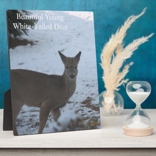 Plaque Photo Bébé Buck Blancs Cerf Snow EASEL (Côté)
