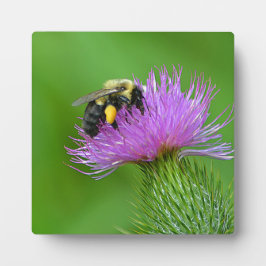 Plaque photo Bee and Thistle