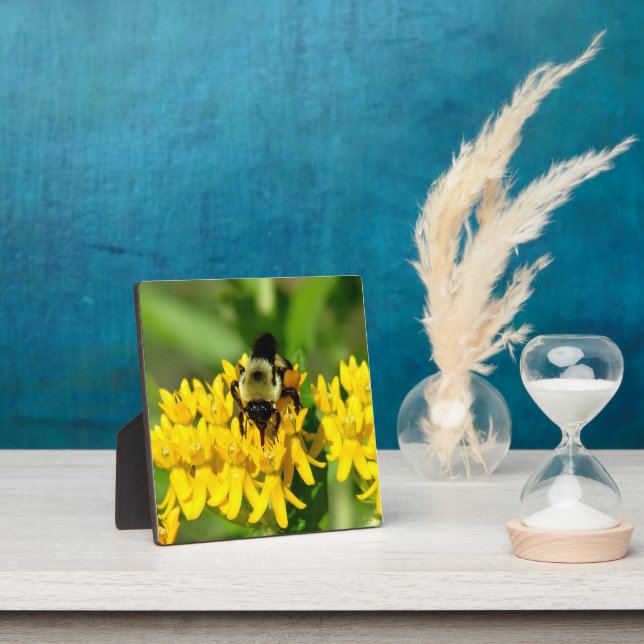 Plaque Photo Bee Feasting on Butterfly Weed Wildflowers (Insitu)