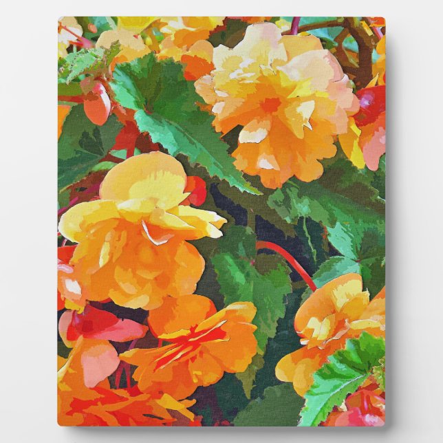 PLAQUE PHOTO BEGONIAS (Devant)