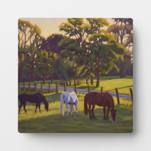 Plaque Photo Belle affiche Pâturage Chevaux de Pays