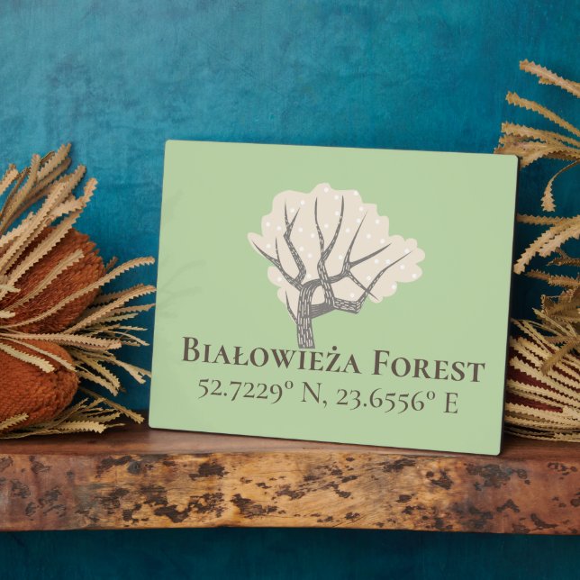 Plaque Photo Białowieża Forêt Latitude & Longitude (Côté)