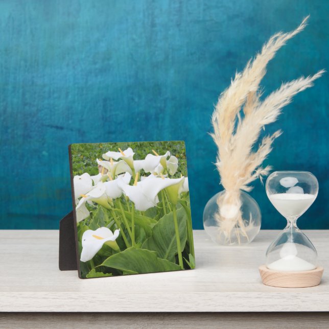 Plaque Photo Blanc Calla Lily (Insitu)