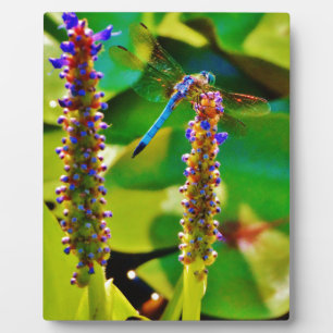 Plaque Photo Bleu libellule et fleurs