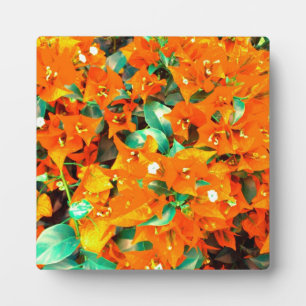 Plaque Photo Bougainvilliers orange vif