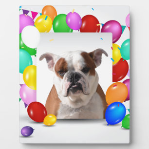 Plaque Photo Bouledogue avec ballons colorés thème d'anniversai