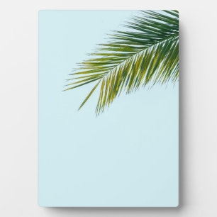 Plaque Photo Branche de palmier
