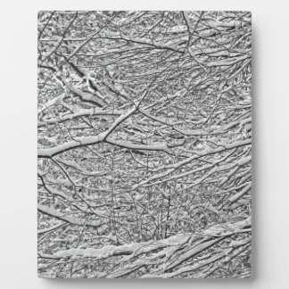 Plaque Photo Branches de neige