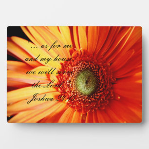 Plaque Photo Bright Orange Daisy